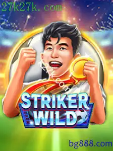 StrikerWILD